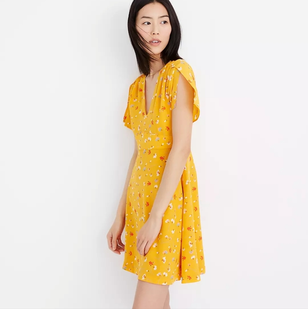 Madewell Silk Belladonna Dress in Painted Carnations